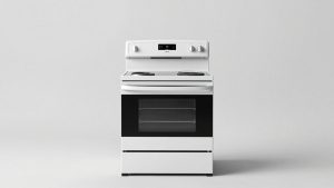 Read more about the article Best Electric Ranges Canada